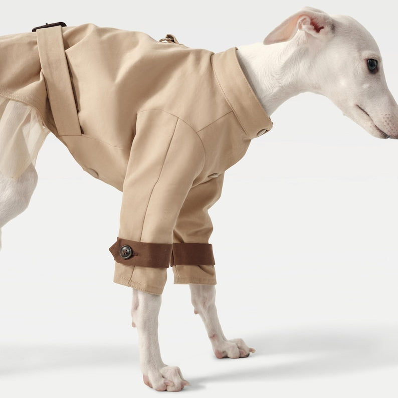 Classic Tulle Pet Trench Coat Dress: Cat Dog Elegant Wear