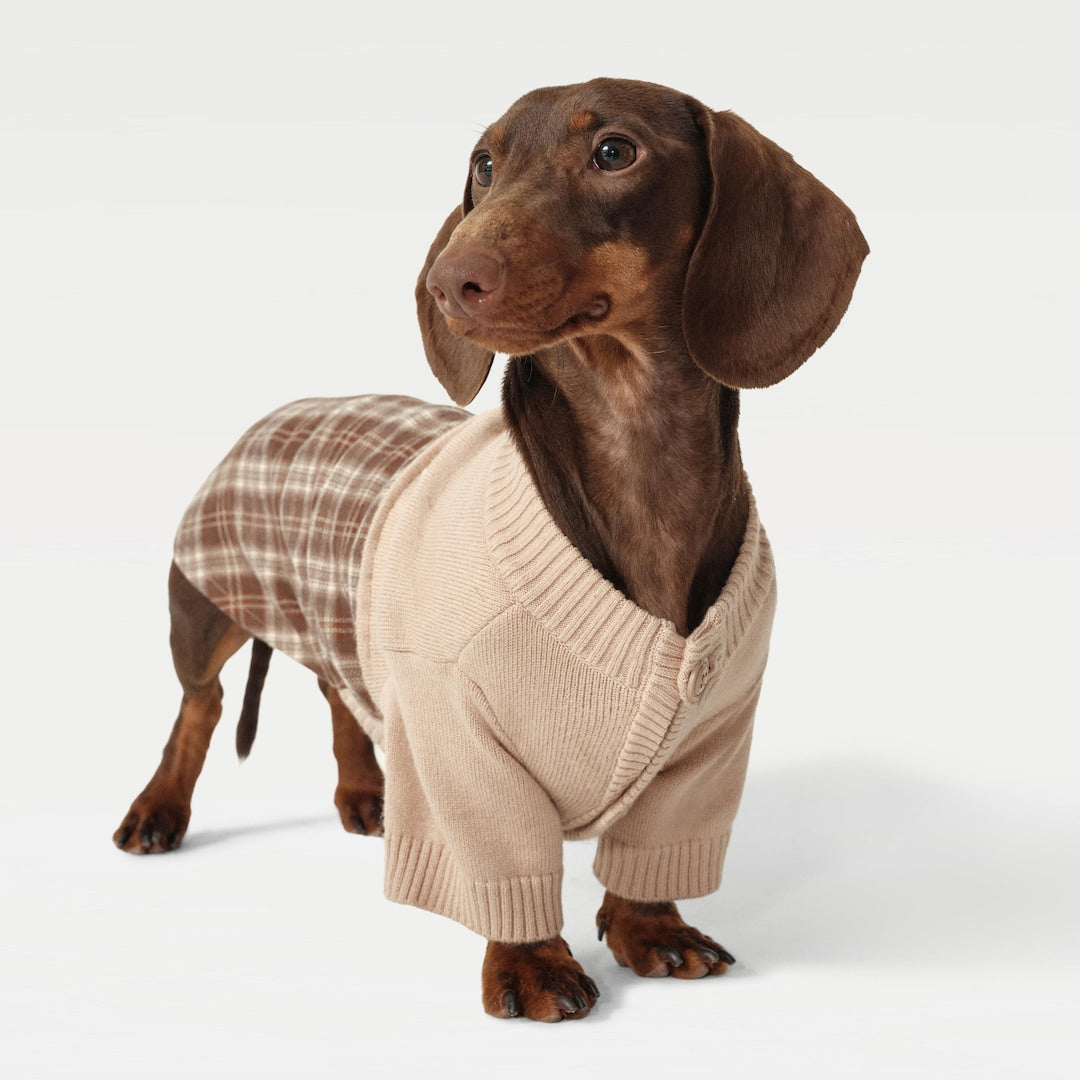 Plaid Patchwork Pet Knit Cardigan: Cat Dog Fall Winter Wear