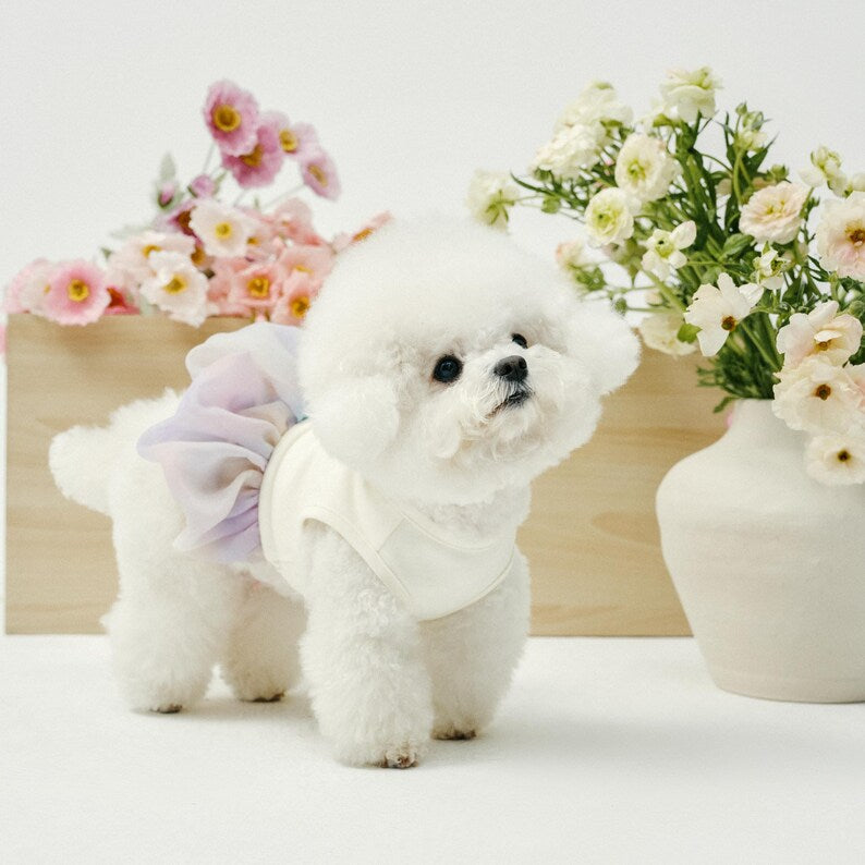 Monet Tulle Pet Bubble Dress: Cat Dog Spring Summer Top - Etsy