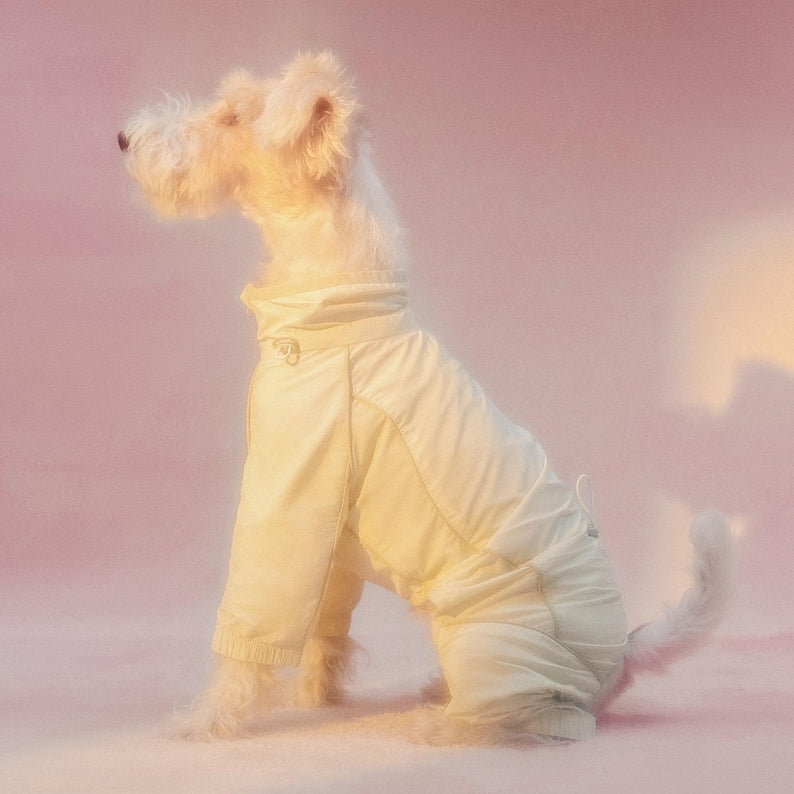 Motion Outdoor Pet Uv-protective & Insect-proof Jacket: Cat Dog Spring Summer Jacket - Etsy