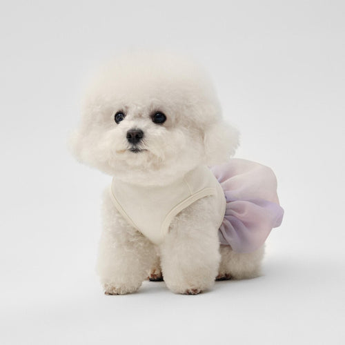 Monet Tulle Pet Bubble Dress: Cat Dog Spring Summer Top - Etsy