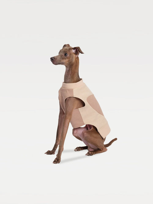 Patchwork Dog Sweatshirt: Cotton Blend Dog Cat Puppy Pullover